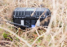 IIB_black_final_web_2